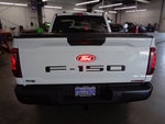 2026 Ford F-150 FP700 XL