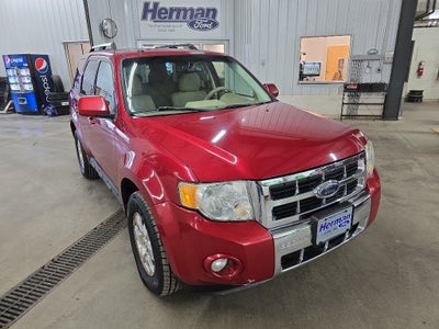 2009 Ford Escape Limited