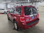 2009 Ford Escape Limited