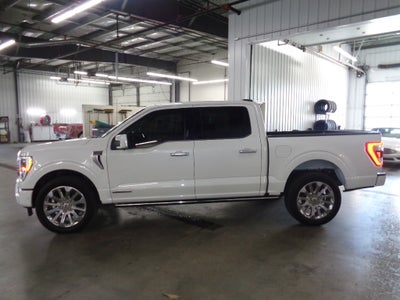2023 Ford F-150 Limited